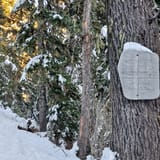 Elk Meadows South Trail, Oregon - 511 Reviews, Map | AllTrails