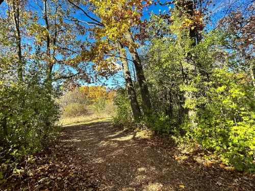 Best Hikes and Trails in Nashotah Park | AllTrails