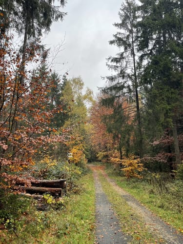 Saar-Hunsrück-Steig Etappe 16: Rhaunen - Sohren
