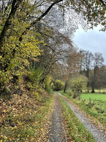 Saar-Hunsrück-Steig Etappe 16: Rhaunen - Sohren