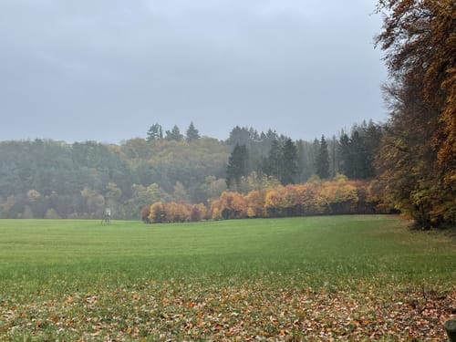 Saar-Hunsrück-Steig Etappe 16: Rhaunen - Sohren