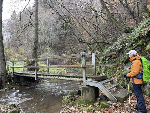 Saar-Hunsrück-Steig Etappe 16: Rhaunen - Sohren