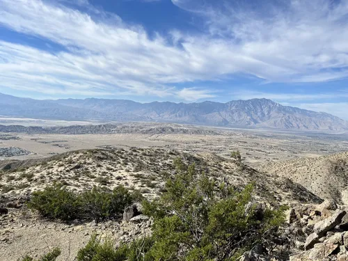 Joshua tree hot springs hike sale