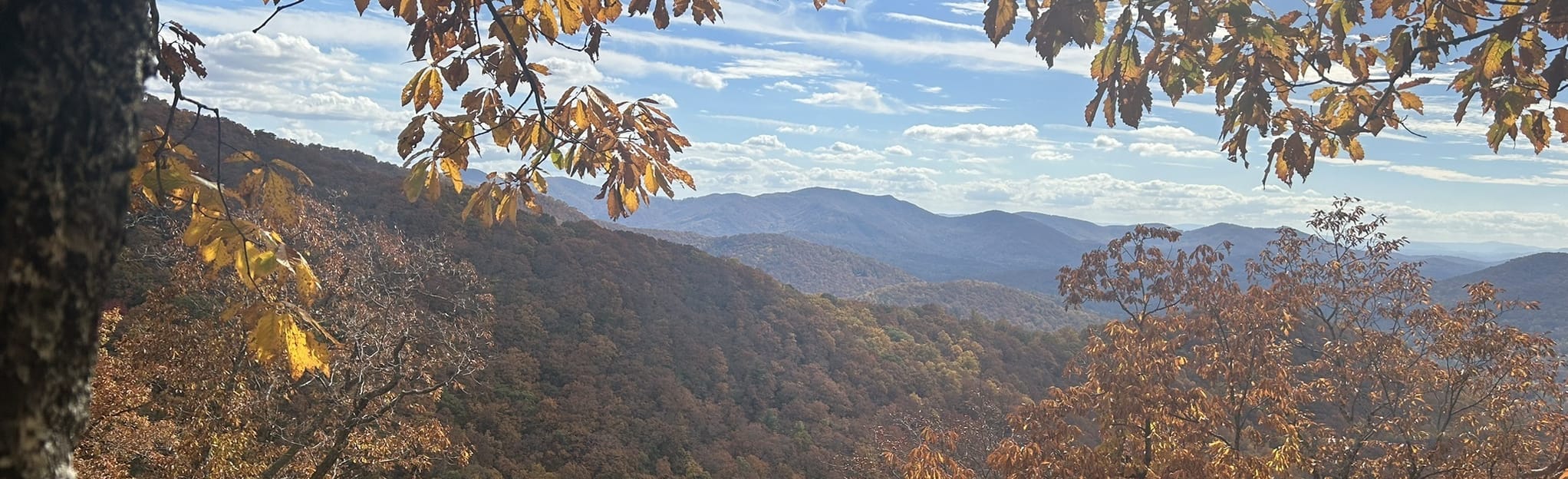 Rattlesnake Lodge Trail, North Carolina 4,266 Reviews, Map AllTrails