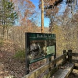 Devil's Den Trail, Arkansas - 1,984 Reviews, Map | AllTrails