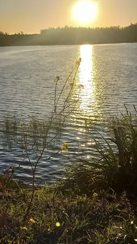 Best Hikes and Trails in Reserva Natural Laguna de los Padres AllTrails