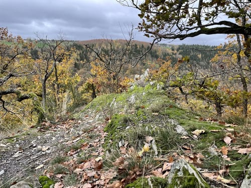 Saar-Hunsrück-Steig Etappe 18: Altlay - Blankenrath