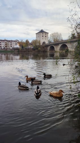 Stadtrundgang durch Limburg