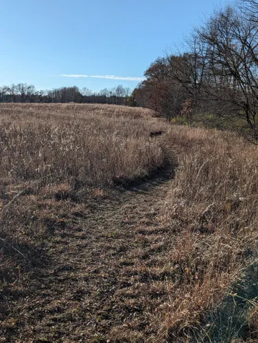 Grand River Fen Preserve  The Nature Conservancy in MI