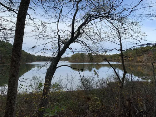 Best Hikes and Trails in Beaver Dam Conservation Area | AllTrails