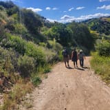 Whiting Ranch Trail, California - 1,726 Reviews, Map | AllTrails