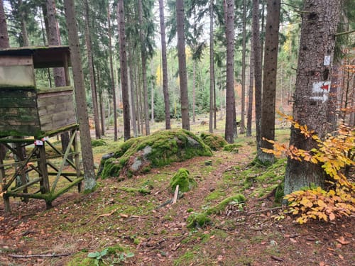 Sagensteig
