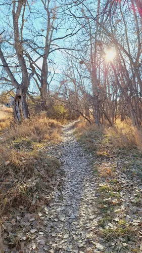 Best Hikes and Trails in Red Fox Meadows Natural Area | AllTrails