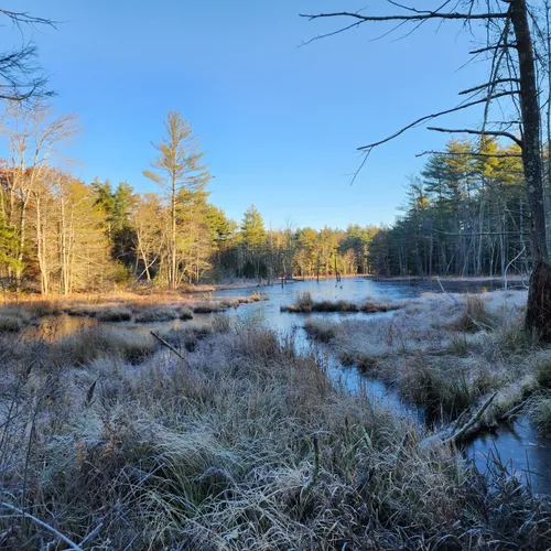 Best Views Trails in Epping AllTrails