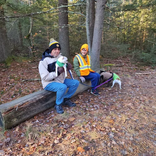 Best Views Trails in Epping AllTrails