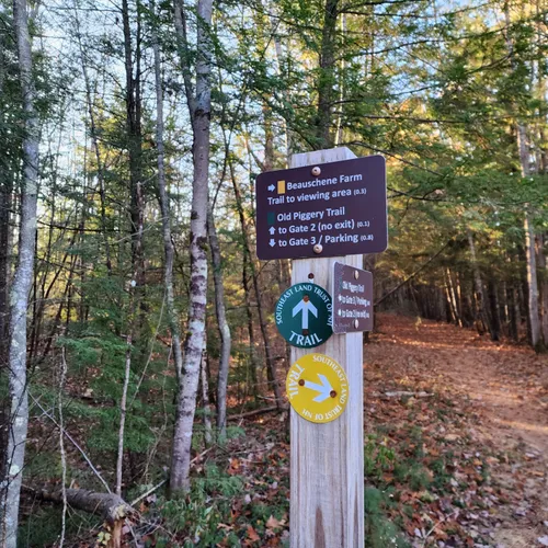 Best Views Trails in Epping AllTrails