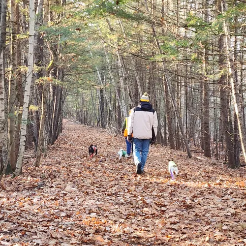 Best Views Trails in Epping AllTrails