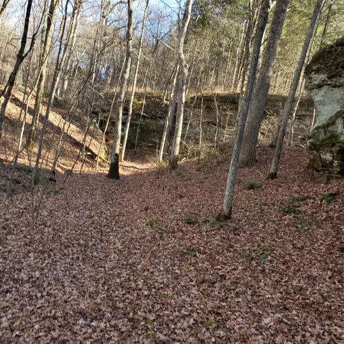 2023 Best River Trails in Stonefort AllTrails