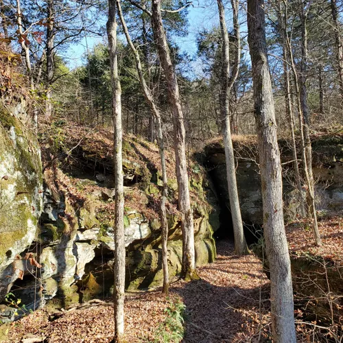 2023 Best River Trails in Stonefort AllTrails