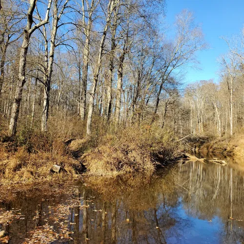 2023 Best River Trails in Stonefort AllTrails