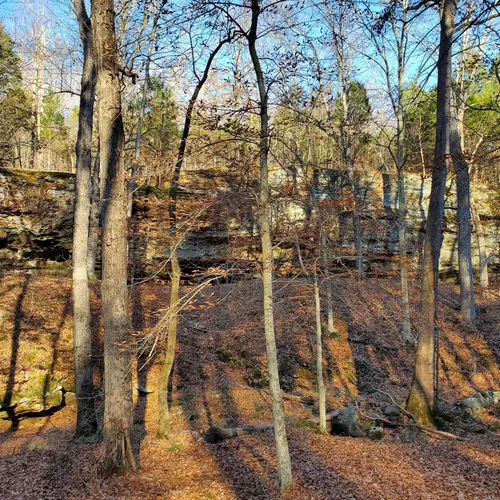 2023 Best River Trails in Stonefort AllTrails