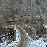 18+ Enchanted Woods Loop Trail