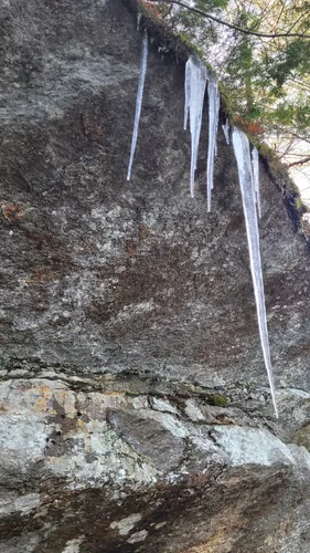 Best Hikes and Trails in Henry Laramie Wildlife Management Area | AllTrails