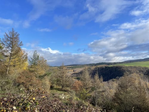 Saar-Hunsrück-Steig Etappe 15: Forellenhof Reinhardtsmühle - Rhaunen