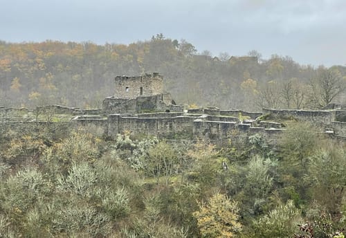 Saar-Hunsrück-Steig Etappe 15: Forellenhof Reinhardtsmühle - Rhaunen