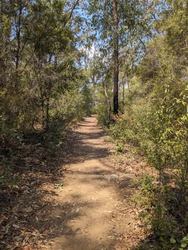 Best Hikes And Trails In Blackdown Tableland National Park 