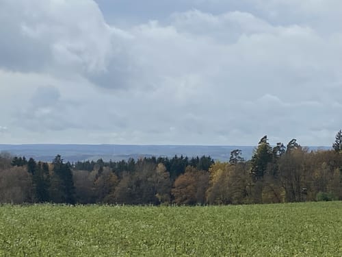 Von Wenzenbach durch den Bernhardswald