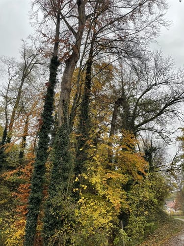 SB2 Vom Schozachtal zum Deinenbach - Weinwanderung