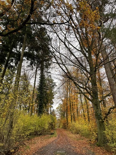SB2 Vom Schozachtal zum Deinenbach - Weinwanderung