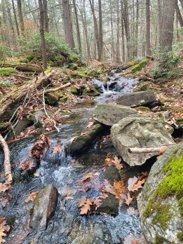 Best 10 Hiking Trails in Tunxis State Forest | AllTrails