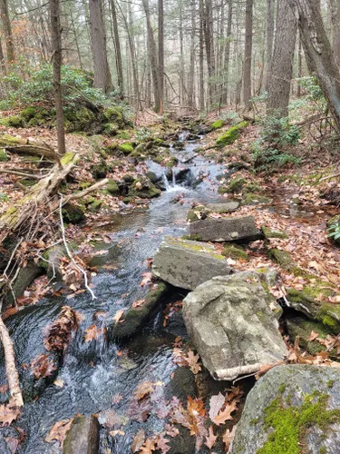 Best 10 Hiking Trails in Tunxis State Forest | AllTrails