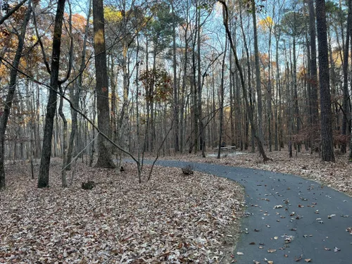 Best Camping Trails In William B. Umstead State Park | AllTrails