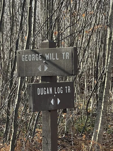 Riverfront Paths: 5 Scenic Hiking Trails in Lock Haven – Pennsylvania