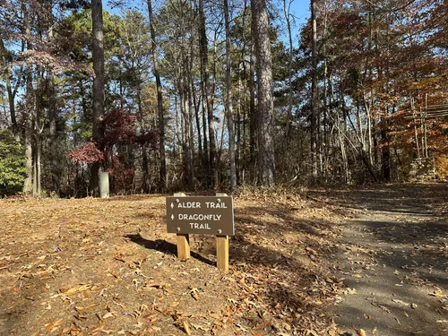 Lake norman state discount park mountain bike trails