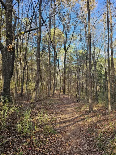 Best Hikes and Trails in Tupelo | AllTrails