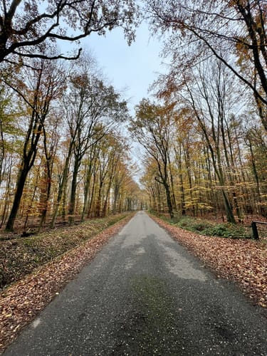 Rundweg A8 Vinkrath