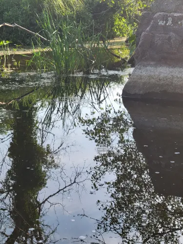 Best Hikes And Trails In Northern Tallgrass Prairie National Wildlife ...