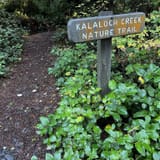 Kalaloch Creek Nature Trail Washington 252 Reviews Map AllTrails