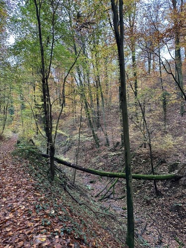 Durch die Ungeheuerklamm
