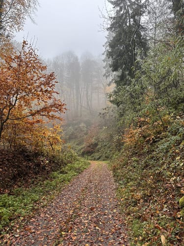 Idesbachpfad (Premiumwanderweg)