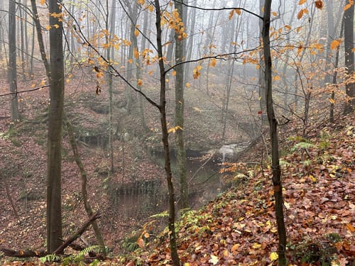 Idesbachpfad (Premiumwanderweg)