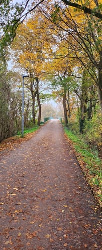 Jan-Reiners-Wanderweg