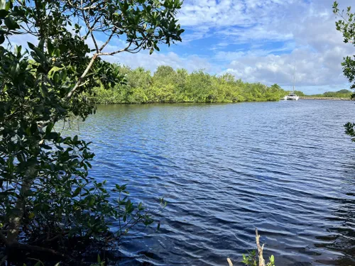 10 Best Trails and Hikes in Merritt Island | AllTrails