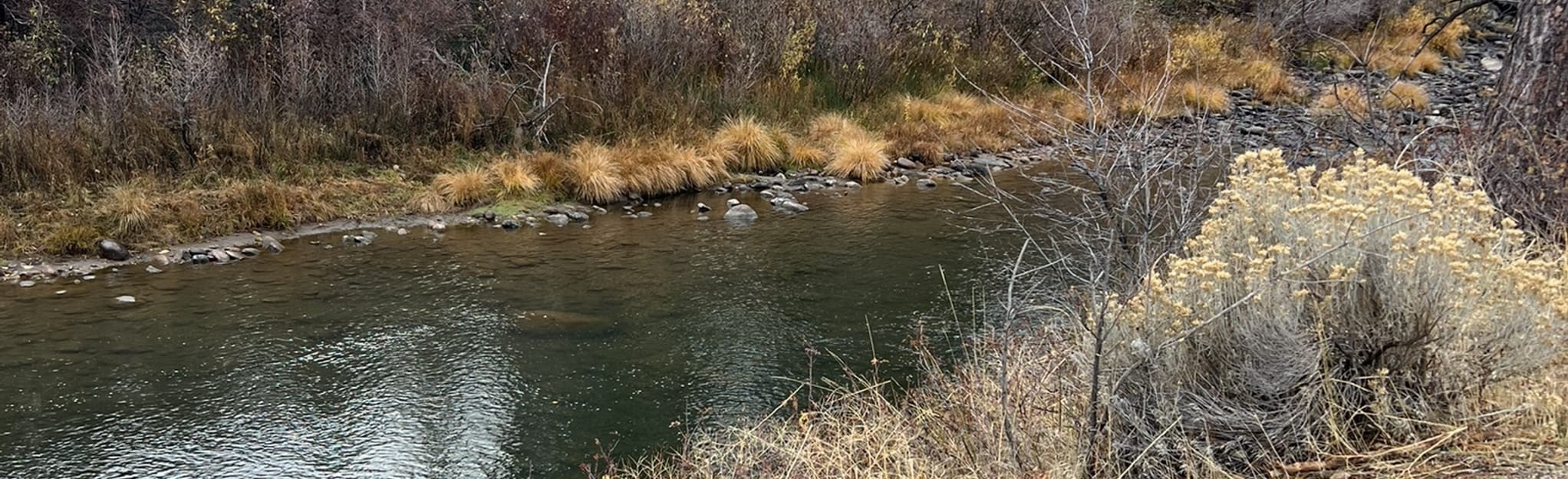 Crystal Peak Fishing Trail 62 Fotos Nevada AllTrails