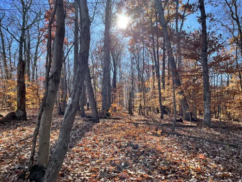 Best Hikes And Trails In Ball's Bluff Regional Park 