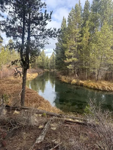 Best Hikes and Trails in LaPine State Park | AllTrails